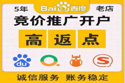 百度竞价赚钱秘诀：实战案例分析